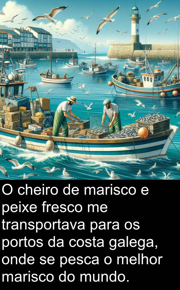 onde: O cheiro de marisco e peixe fresco me transportava para os portos da costa galega, onde se pesca o melhor marisco do mundo.