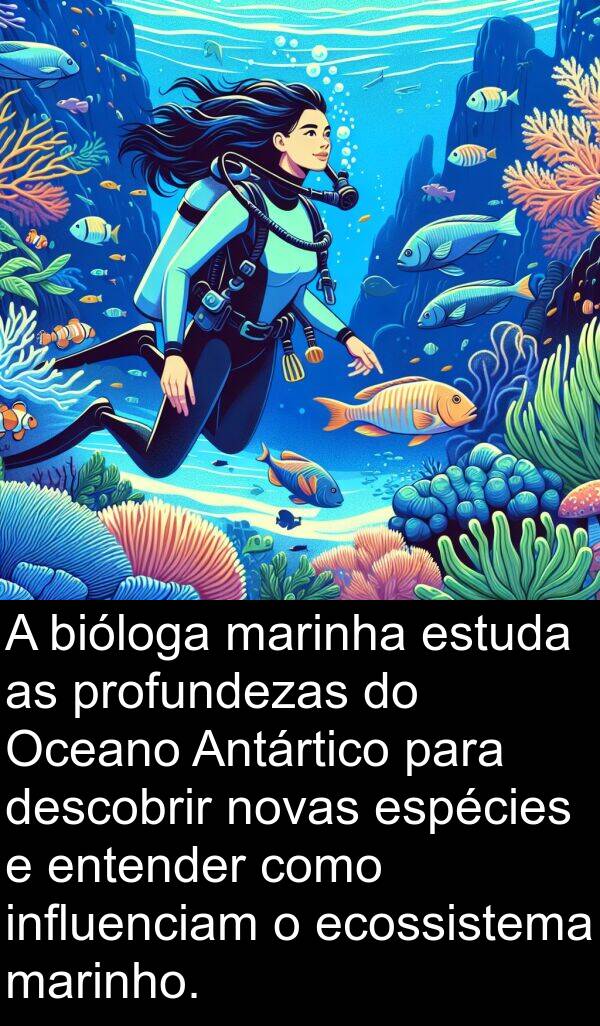 novas: A bióloga marinha estuda as profundezas do Oceano Antártico para descobrir novas espécies e entender como influenciam o ecossistema marinho.