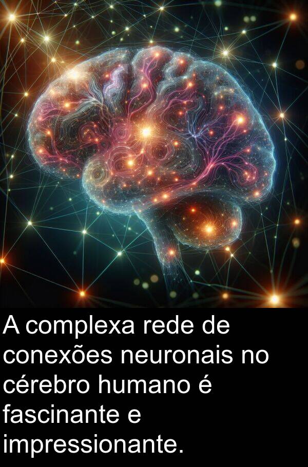 humano: A complexa rede de conexões neuronais no cérebro humano é fascinante e impressionante.