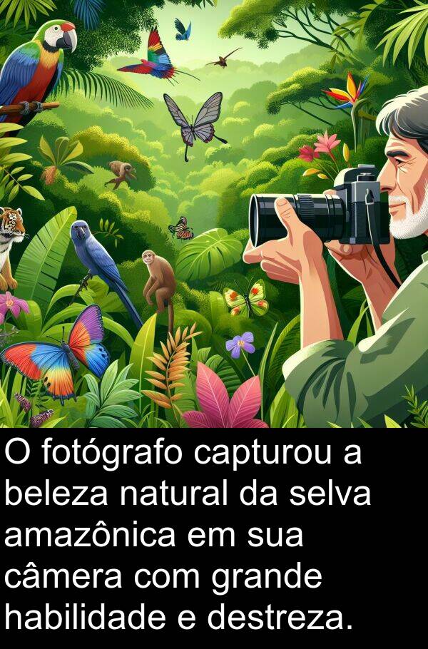 beleza: O fotógrafo capturou a beleza natural da selva amazônica em sua câmera com grande habilidade e destreza.