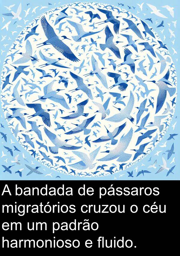 padrão: A bandada de pássaros migratórios cruzou o céu em um padrão harmonioso e fluido.