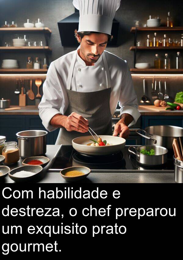 habilidade: Com habilidade e destreza, o chef preparou um exquisito prato gourmet.