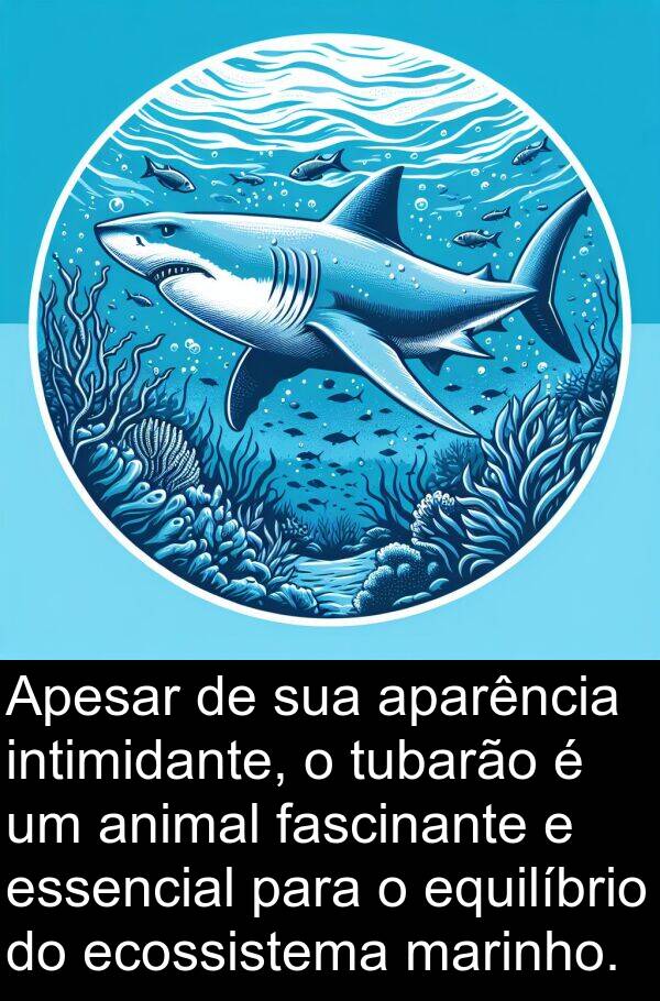 marinho: Apesar de sua aparência intimidante, o tubarão é um animal fascinante e essencial para o equilíbrio do ecossistema marinho.