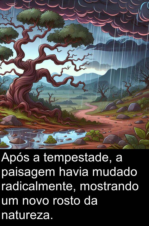 tempestade: Após a tempestade, a paisagem havia mudado radicalmente, mostrando um novo rosto da natureza.