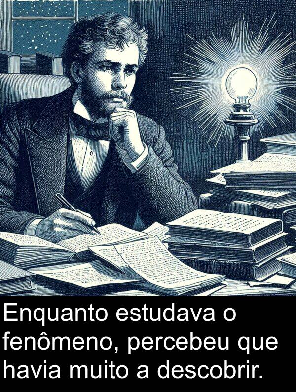 fenômeno: Enquanto estudava o fenômeno, percebeu que havia muito a descobrir.