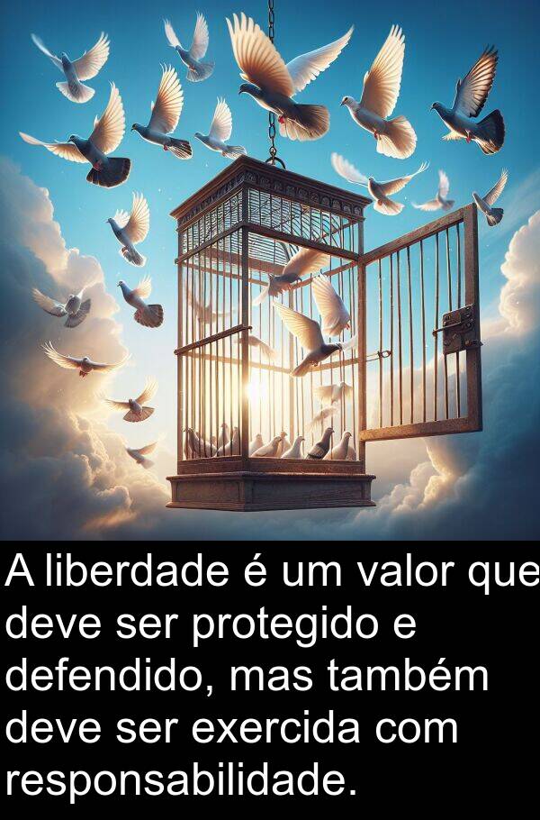 também: A liberdade é um valor que deve ser protegido e defendido, mas também deve ser exercida com responsabilidade.