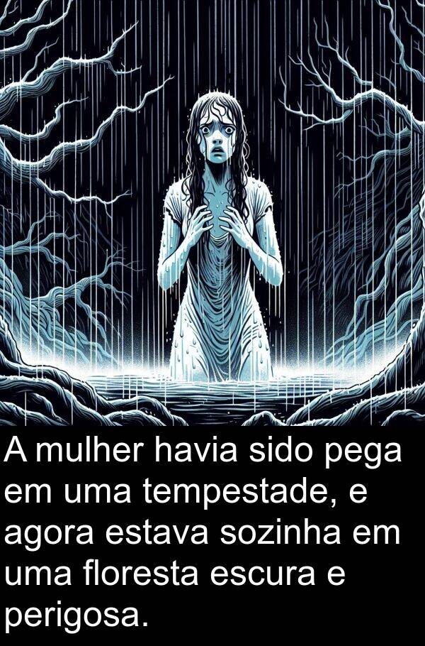 tempestade: A mulher havia sido pega em uma tempestade, e agora estava sozinha em uma floresta escura e perigosa.