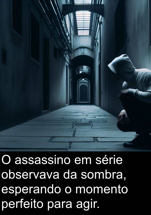 observava: O assassino em série observava da sombra, esperando o momento perfeito para agir.