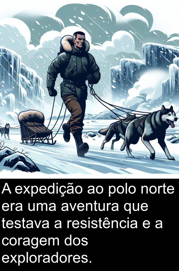 norte: A expedição ao polo norte era uma aventura que testava a resistência e a coragem dos exploradores.