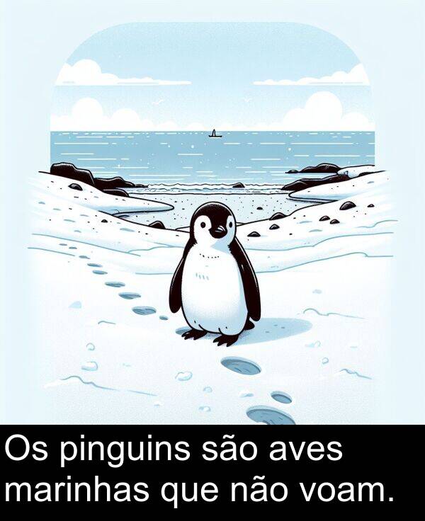 marinhas: Os pinguins são aves marinhas que não voam.