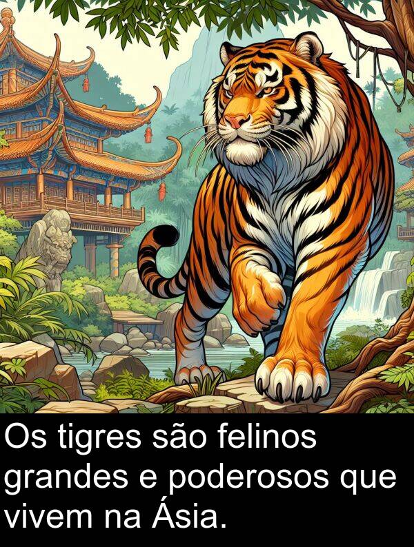 são: Os tigres são felinos grandes e poderosos que vivem na Ásia.