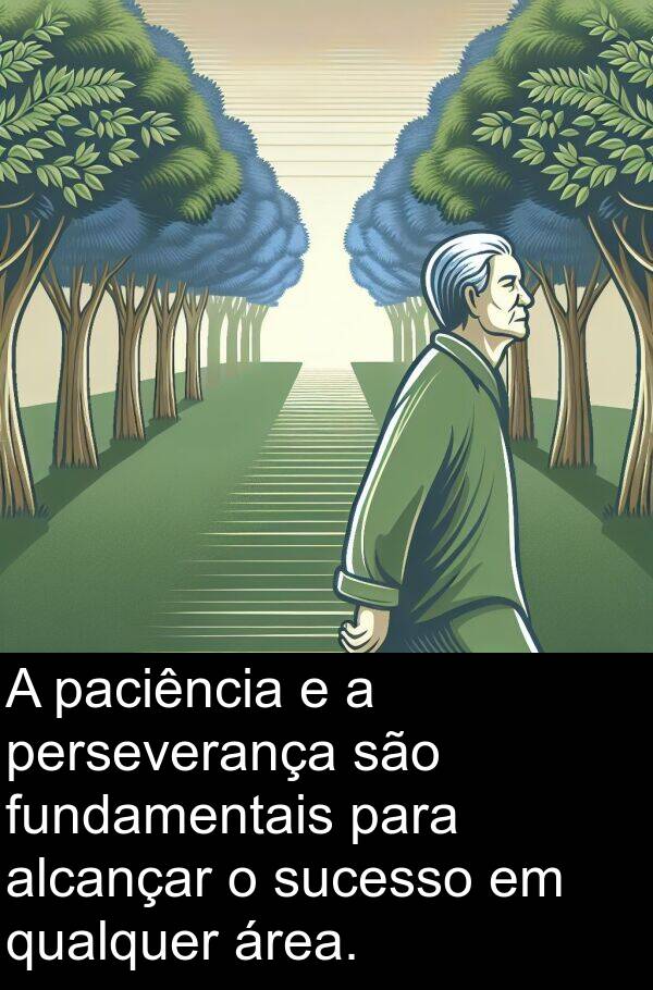 qualquer: A paciência e a perseverança são fundamentais para alcançar o sucesso em qualquer área.