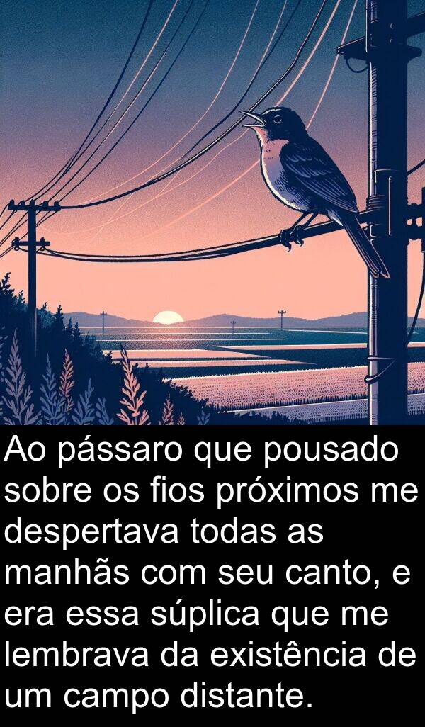 pássaro: Ao pássaro que pousado sobre os fios próximos me despertava todas as manhãs com seu canto, e era essa súplica que me lembrava da existência de um campo distante.