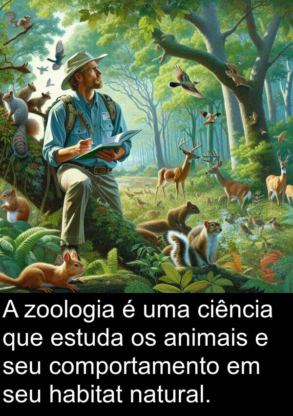 zoologia: A zoologia é uma ciência que estuda os animais e seu comportamento em seu habitat natural.