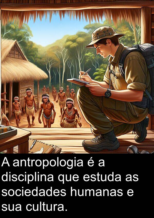 humanas: A antropologia é a disciplina que estuda as sociedades humanas e sua cultura.