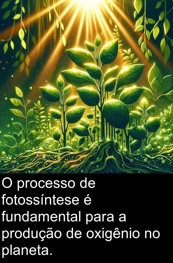 processo: O processo de fotossíntese é fundamental para a produção de oxigênio no planeta.