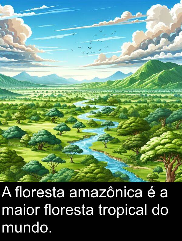 maior: A floresta amazônica é a maior floresta tropical do mundo.