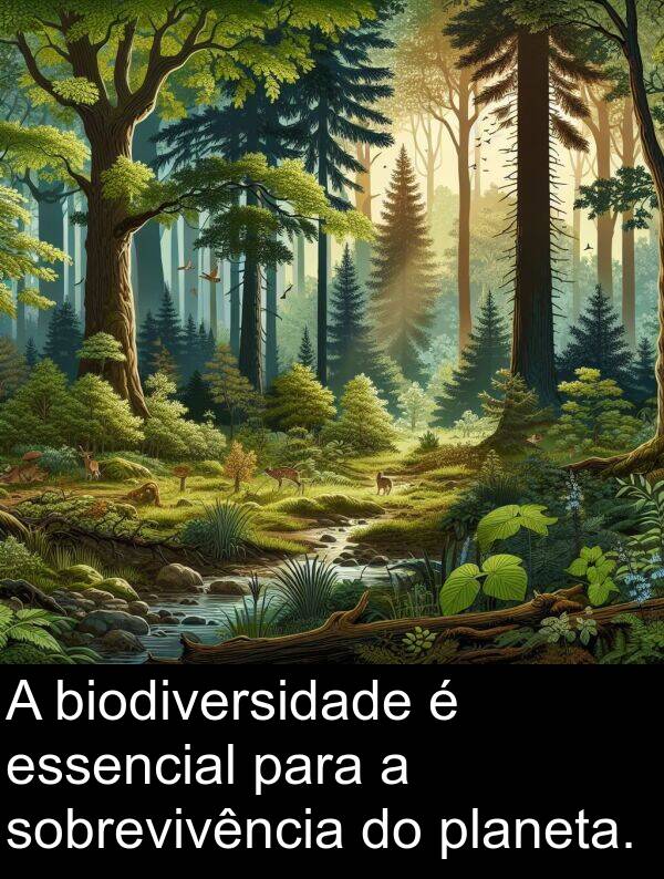 biodiversidade: A biodiversidade é essencial para a sobrevivência do planeta.