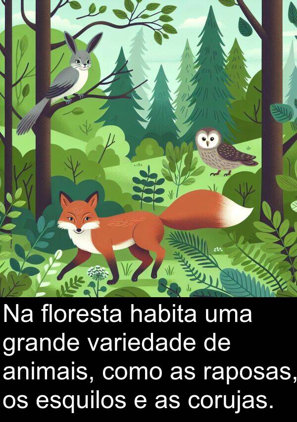 variedade: Na floresta habita uma grande variedade de animais, como as raposas, os esquilos e as corujas.