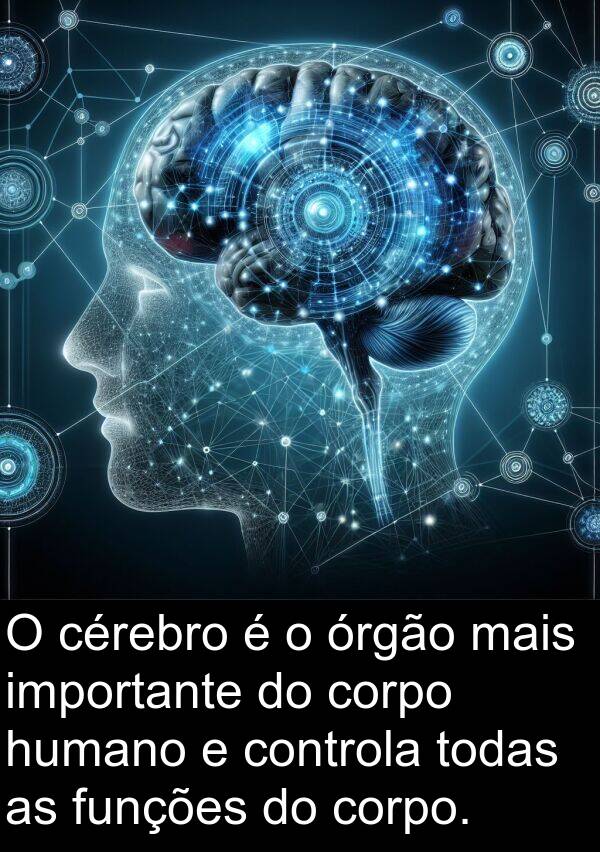 humano: O cérebro é o órgão mais importante do corpo humano e controla todas as funções do corpo.