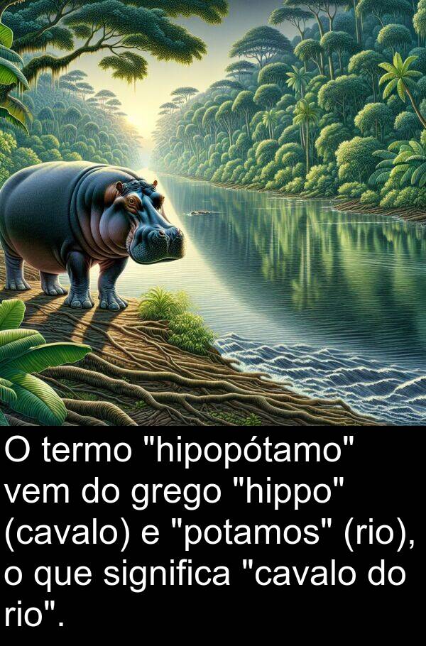 termo: O termo "hipopótamo" vem do grego "hippo" (cavalo) e "potamos" (rio), o que significa "cavalo do rio".