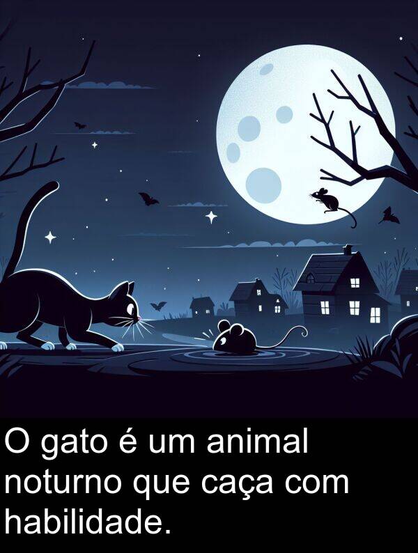 gato: O gato é um animal noturno que caça com habilidade.