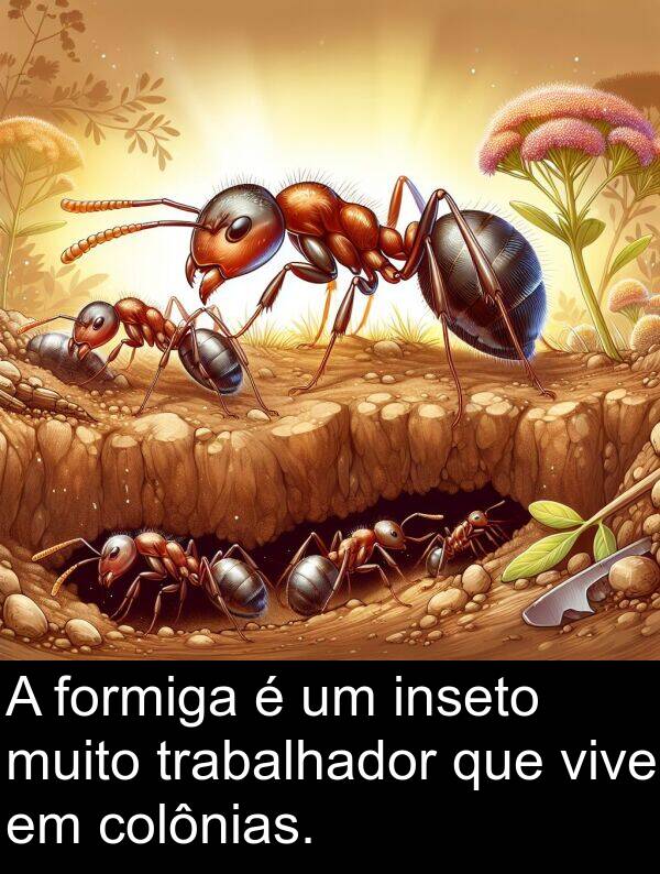 trabalhador: A formiga é um inseto muito trabalhador que vive em colônias.