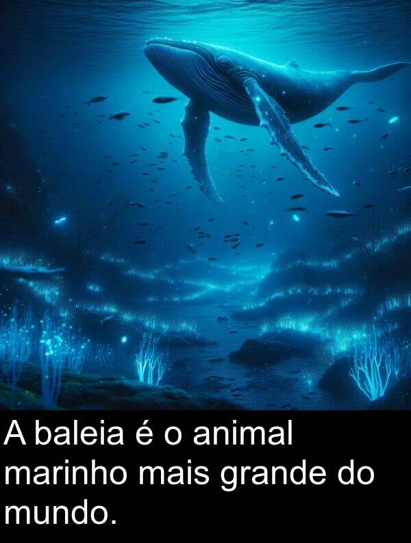 mais: A baleia é o animal marinho mais grande do mundo.