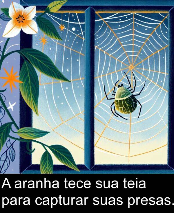 teia: A aranha tece sua teia para capturar suas presas.