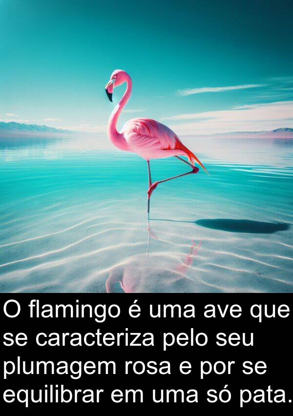 plumagem: O flamingo é uma ave que se caracteriza pelo seu plumagem rosa e por se equilibrar em uma só pata.