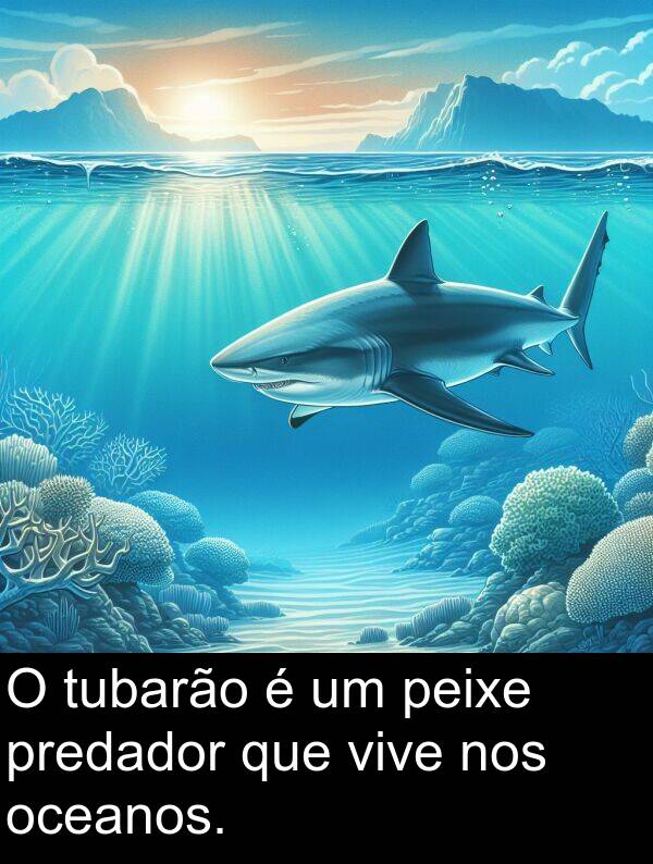 nos: O tubarão é um peixe predador que vive nos oceanos.