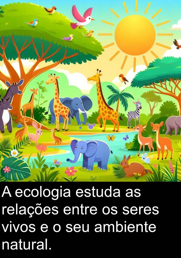 natural: A ecologia estuda as relações entre os seres vivos e o seu ambiente natural.