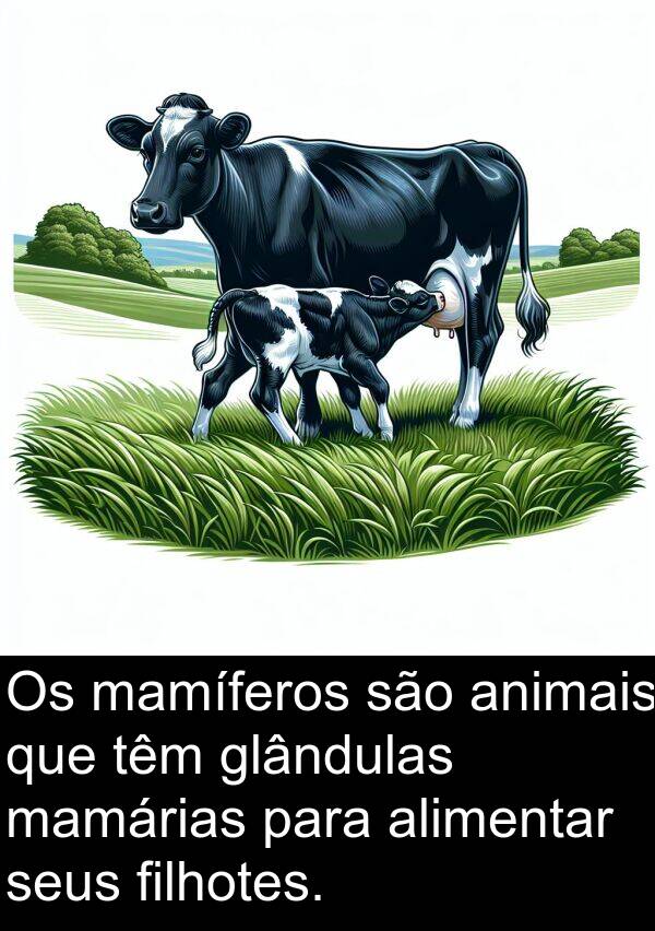 mamárias: Os mamíferos são animais que têm glândulas mamárias para alimentar seus filhotes.