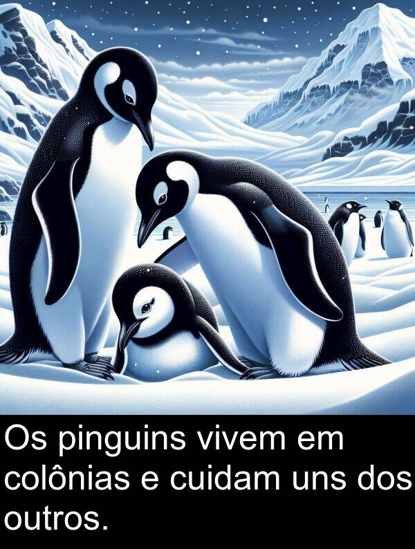 uns: Os pinguins vivem em colônias e cuidam uns dos outros.