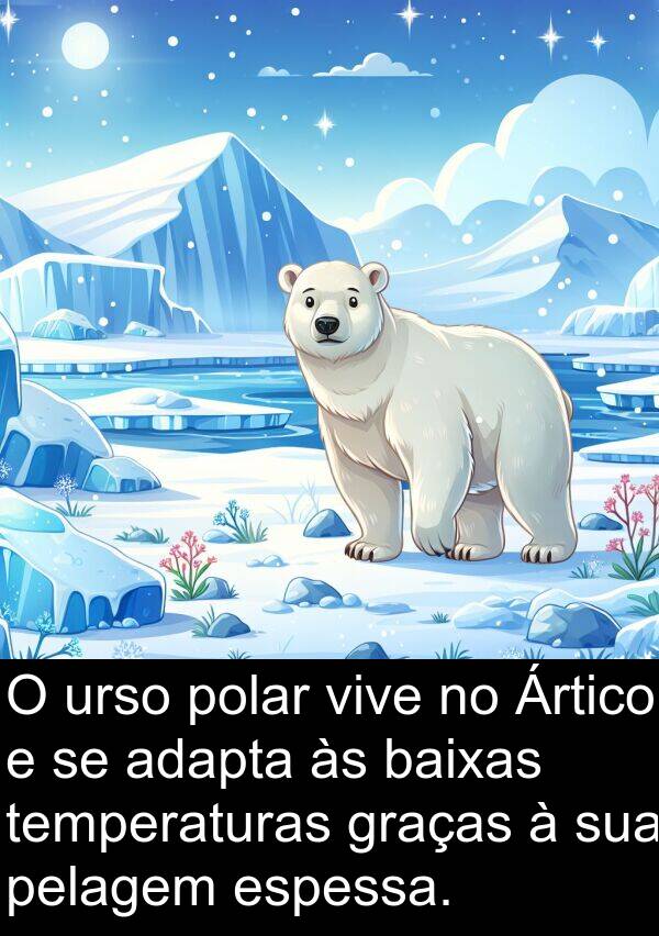 urso: O urso polar vive no Ártico e se adapta às baixas temperaturas graças à sua pelagem espessa.