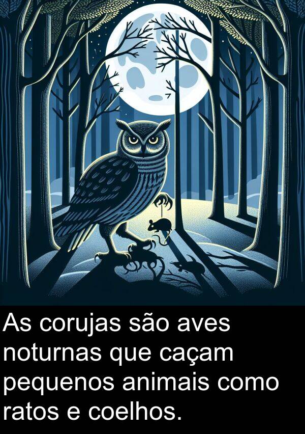 ratos: As corujas são aves noturnas que caçam pequenos animais como ratos e coelhos.