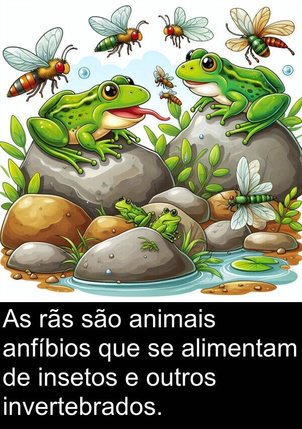 rãs: As rãs são animais anfíbios que se alimentam de insetos e outros invertebrados.