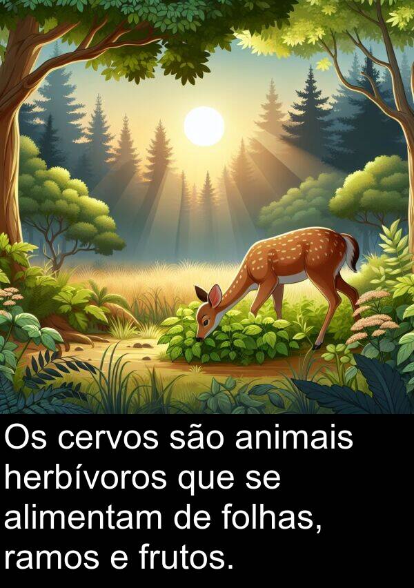 herbívoros: Os cervos são animais herbívoros que se alimentam de folhas, ramos e frutos.