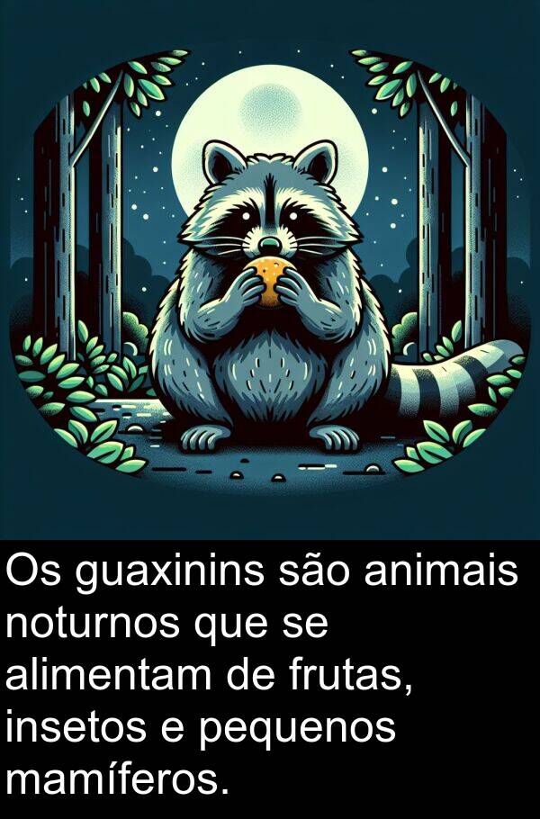 noturnos: Os guaxinins são animais noturnos que se alimentam de frutas, insetos e pequenos mamíferos.