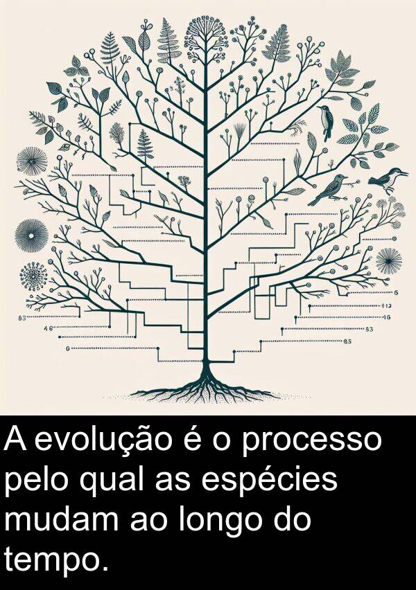 tempo: A evolução é o processo pelo qual as espécies mudam ao longo do tempo.