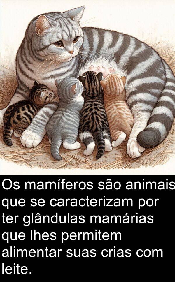 mamárias: Os mamíferos são animais que se caracterizam por ter glândulas mamárias que lhes permitem alimentar suas crias com leite.