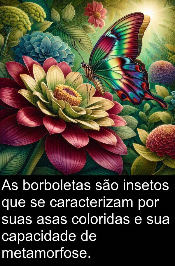 capacidade: As borboletas são insetos que se caracterizam por suas asas coloridas e sua capacidade de metamorfose.