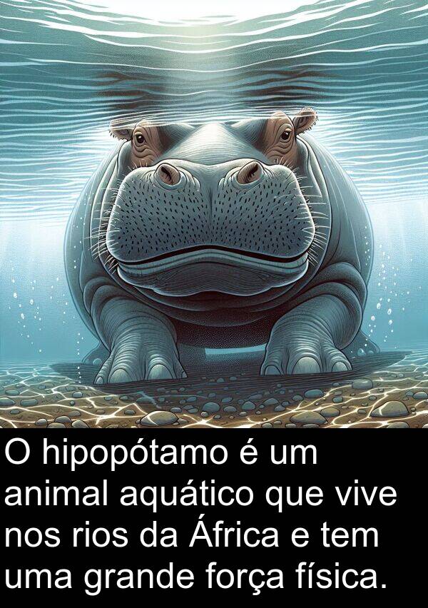 rios: O hipopótamo é um animal aquático que vive nos rios da África e tem uma grande força física.