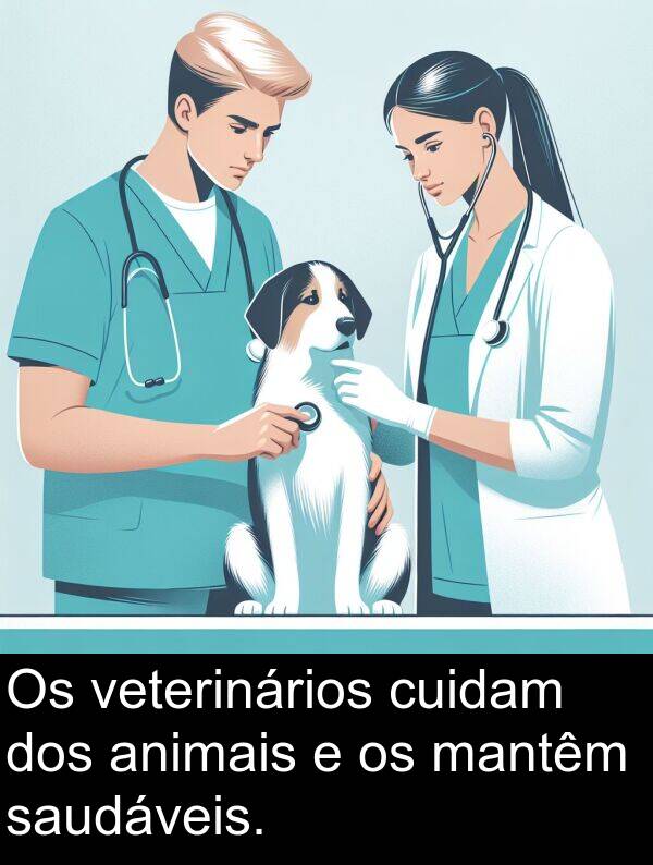 saudáveis: Os veterinários cuidam dos animais e os mantêm saudáveis.