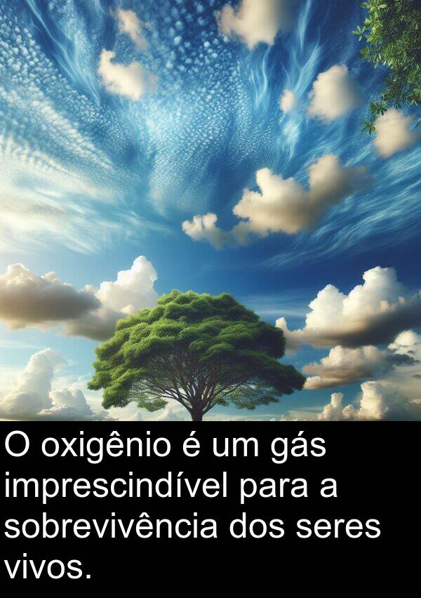 gás: O oxigênio é um gás imprescindível para a sobrevivência dos seres vivos.