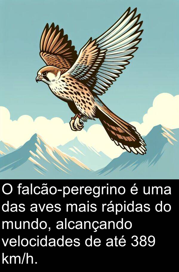 velocidades: O falcão-peregrino é uma das aves mais rápidas do mundo, alcançando velocidades de até 389 km/h.