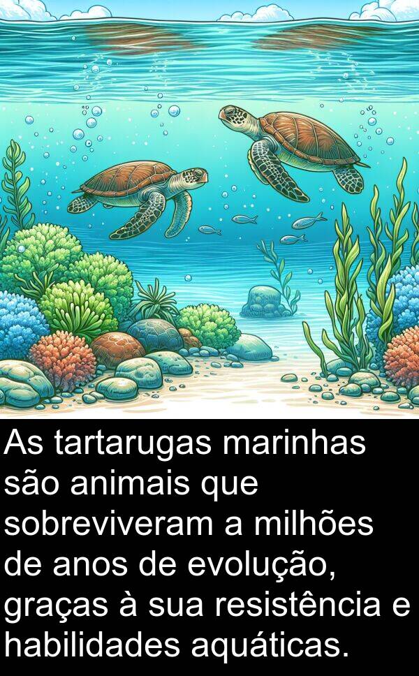 habilidades: As tartarugas marinhas são animais que sobreviveram a milhões de anos de evolução, graças à sua resistência e habilidades aquáticas.