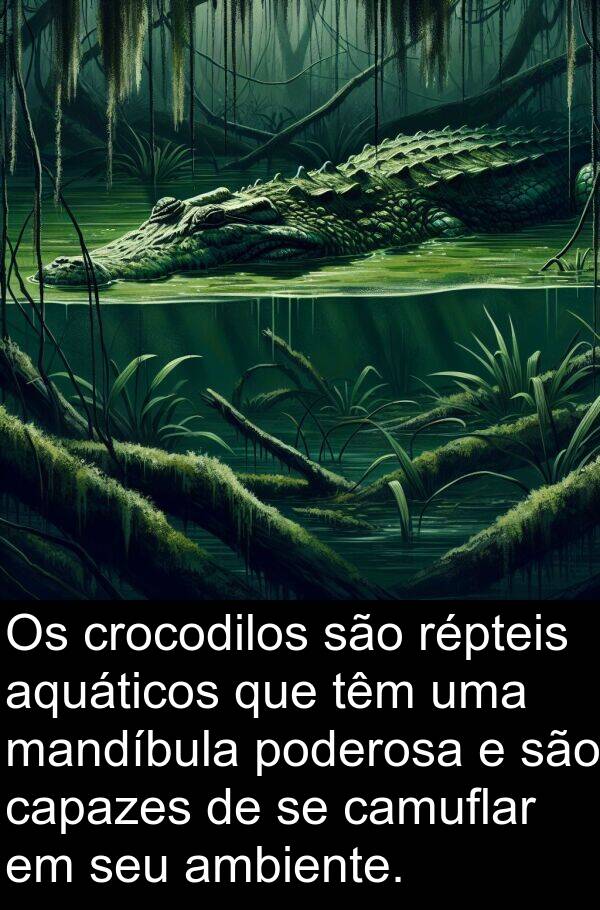 mandíbula: Os crocodilos são répteis aquáticos que têm uma mandíbula poderosa e são capazes de se camuflar em seu ambiente.