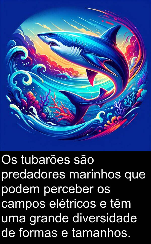 marinhos: Os tubarões são predadores marinhos que podem perceber os campos elétricos e têm uma grande diversidade de formas e tamanhos.