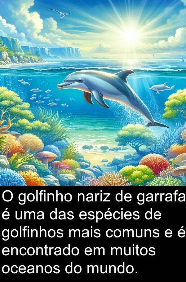 golfinho: O golfinho nariz de garrafa é uma das espécies de golfinhos mais comuns e é encontrado em muitos oceanos do mundo.